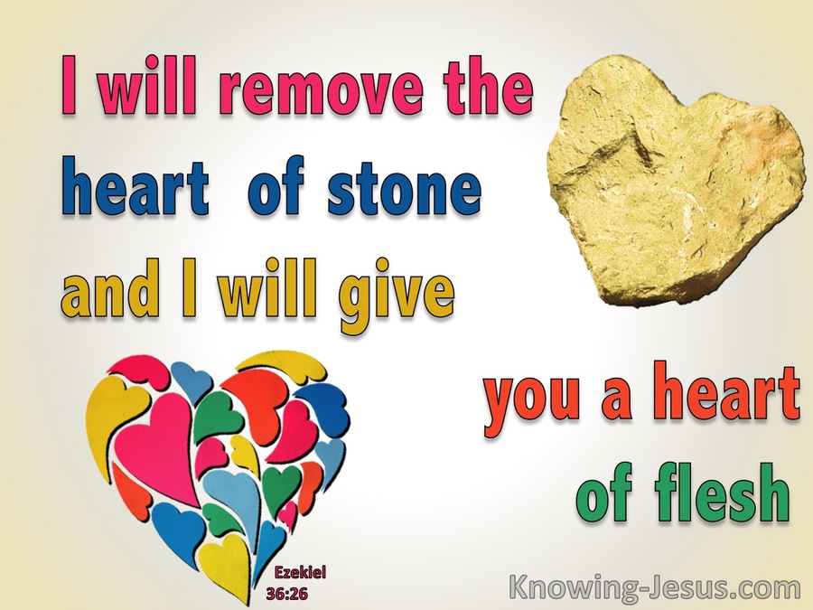 Ezekiel 36:26 A New Heart Of Flesh (pink)